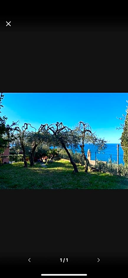 Il Gabbiano Di Pieve