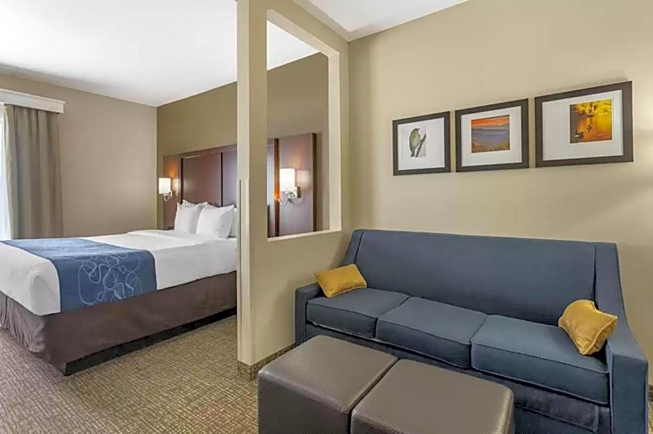 Comfort Suites At Rivergate Mall