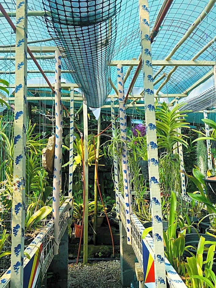 Anse Norwa Self Catering