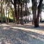 MAISON D’HÔTE LES TORTUES -