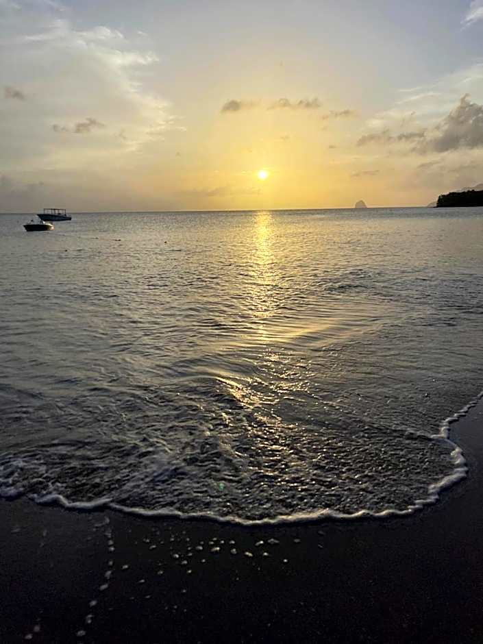 Tropik-Appart - Studio