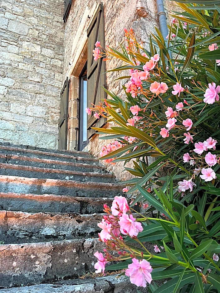 Château Hôtel La Terrasse - Teritoria