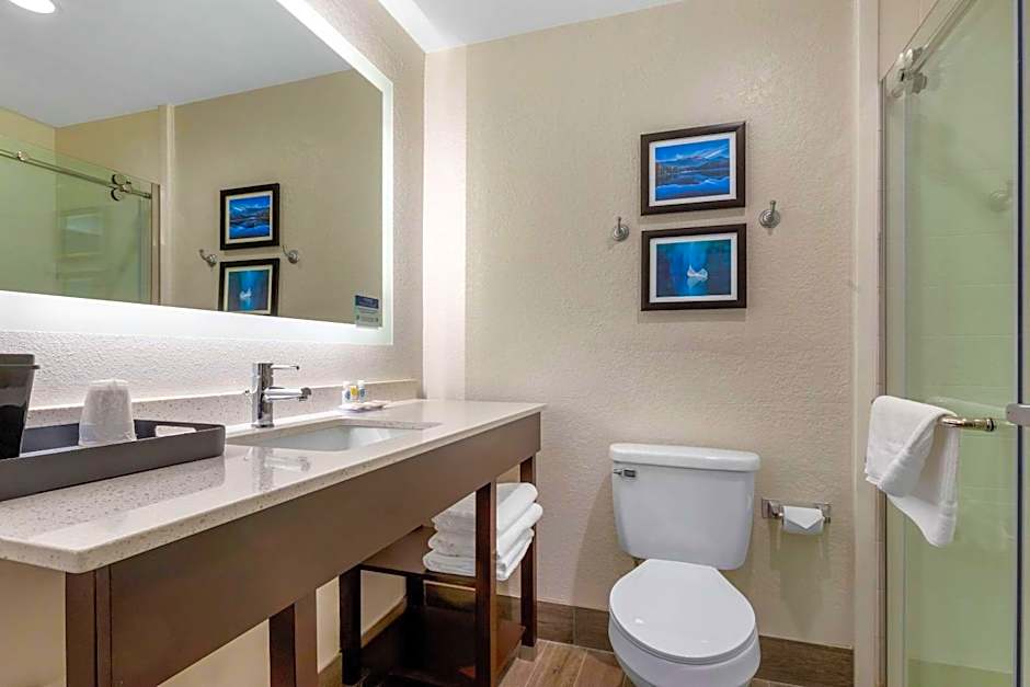 Comfort Inn & Suites Greer - Greenville