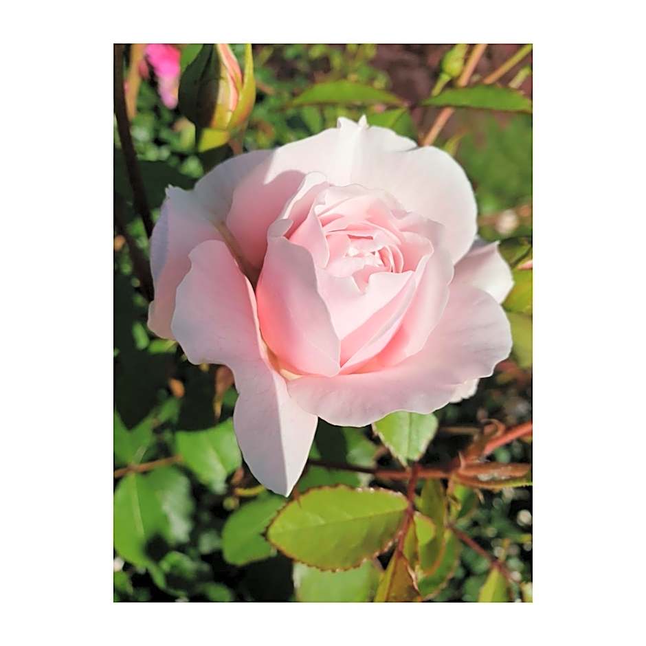 Domaine de Bourgville