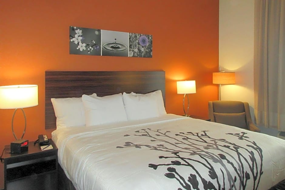 Sleep Inn & Suites Oregon - Madison