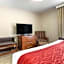Comfort Inn & Suites Rapid City