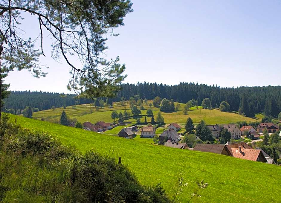 Auerhahn Bed and Breakfast - Black Forest - Waldhotel