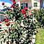 Hotel Cenzo