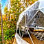 Dôme Forestier - Expérience Glamping détente