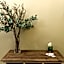 TRESCA CHARME luxury Rooms
