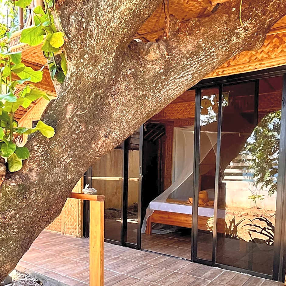 Amami Beachfront Villa with Private Beach