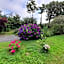 Bed and Breakfast Saultchevreuil, au Mont Saint Michel