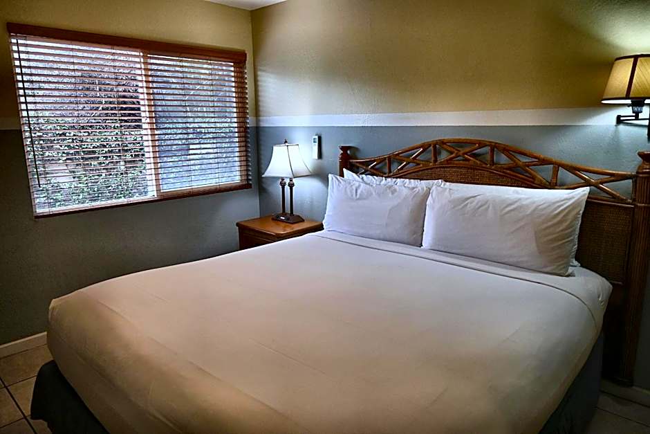 Photo 1 of 5 of 1 King Bed Suite, Pool View