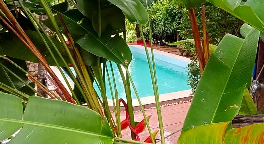 Saku Boutique Homestay