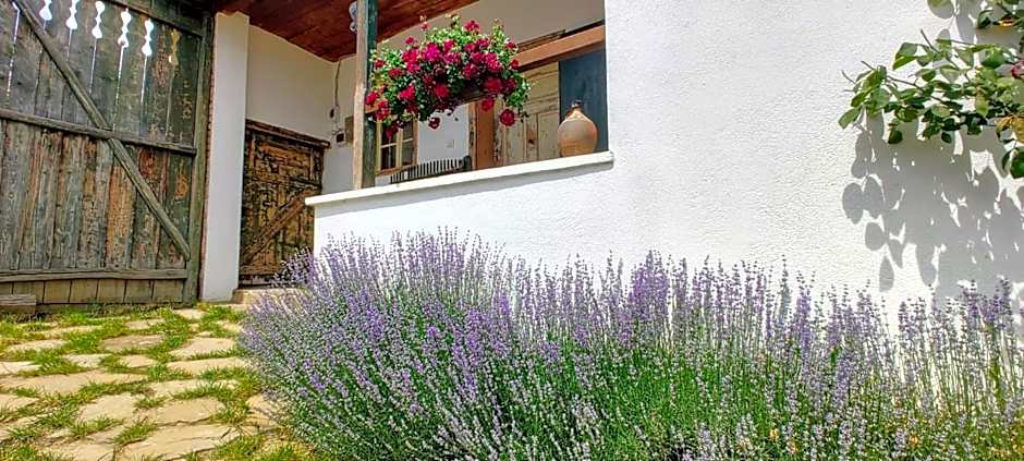 Reichau Transilvania