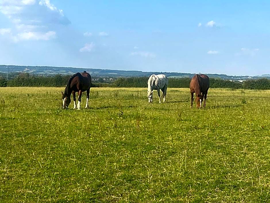 Maylands Farm Glamping Pod