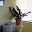 Philippos Studios & Apartments