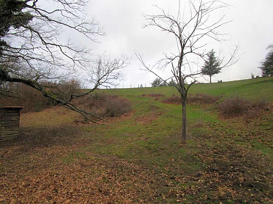 Fouettara