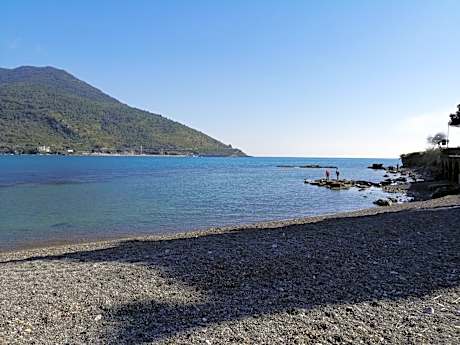 Standard King Room with Private Bathroom