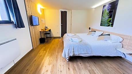 Double or Twin Room with Mountain View