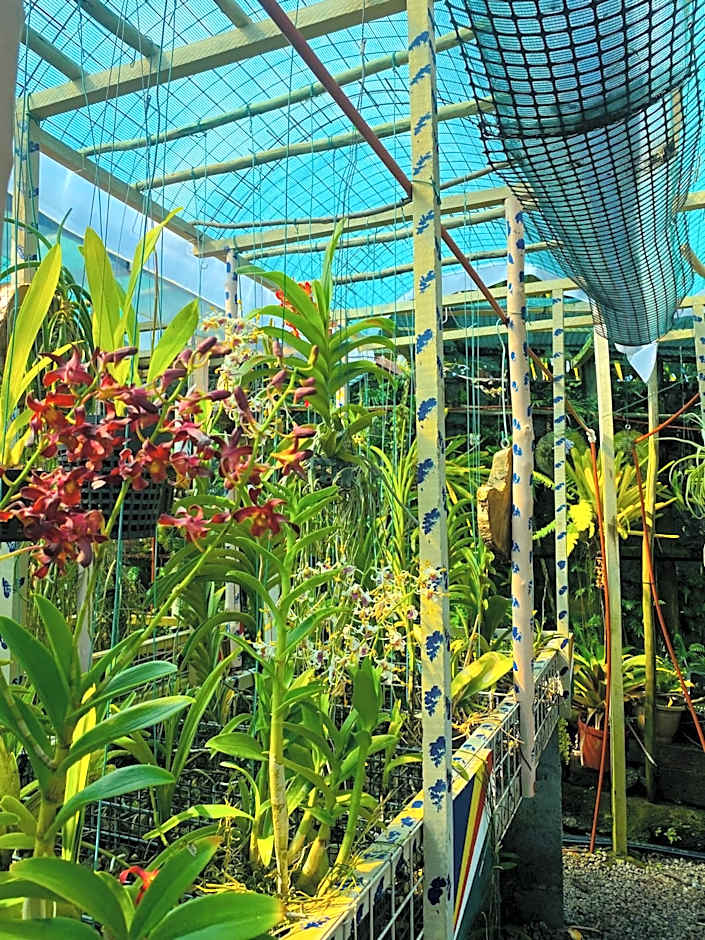 Anse Norwa Self Catering