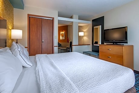 Studio, 1 King Bed