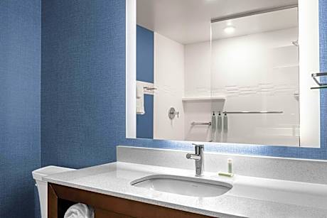 1 Bedroom Suite, 1 King, Sofa bed