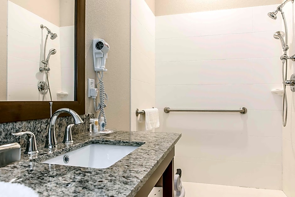 Comfort Suites Rensselaer near Fair Oaks