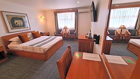 Deluxe Double or Twin Room with City View
