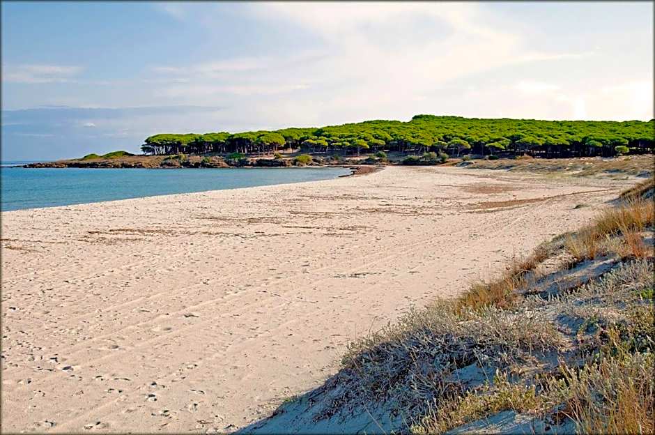 Appartamenti Le Magnolie