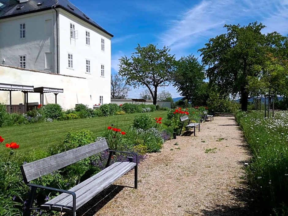 Hotel Zámek Svijany