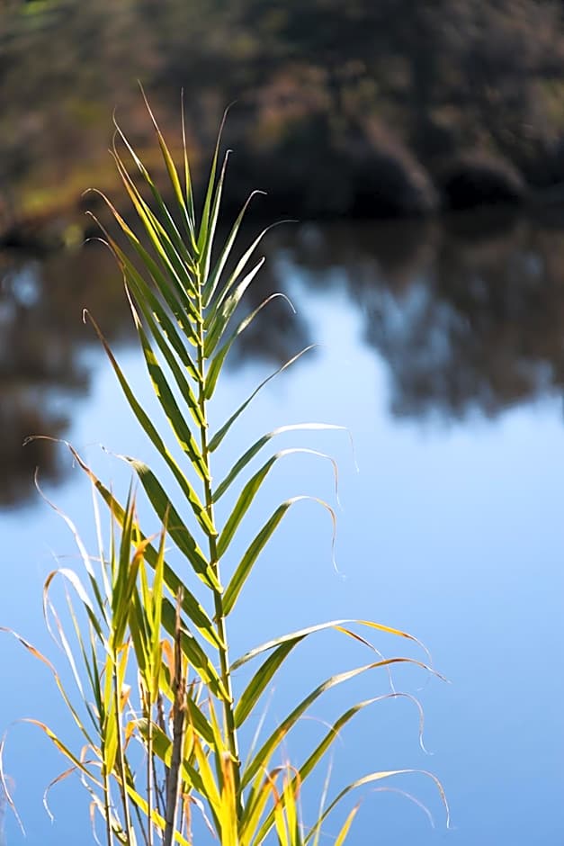 Swan River Hotel (Formerly known as International on the Water Hotel)