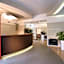 Trevi Collection