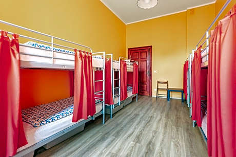 Bed in 8-Bed Dormitory Room