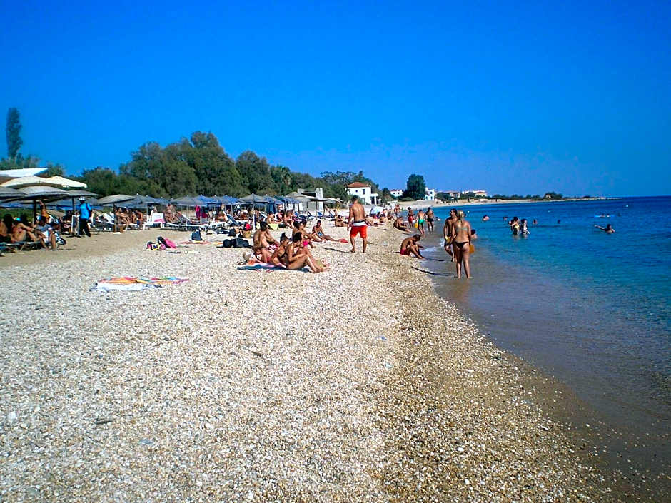 Apollon (ex. Albatros)