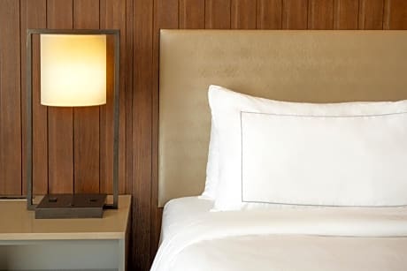 1 King Bed Larger Room