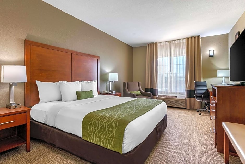 Comfort Inn & Suites Sacramento