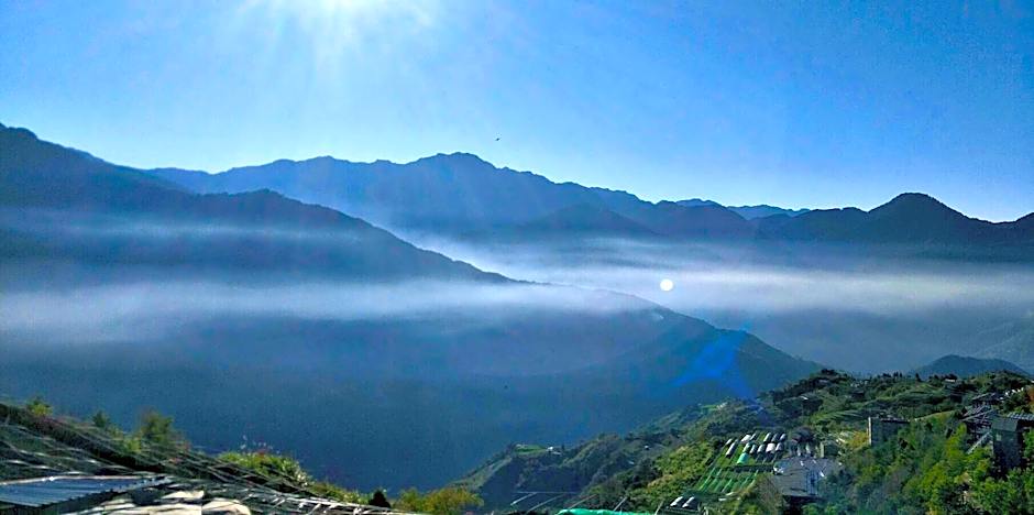 Flower and Star Garden Bed and Breakfast