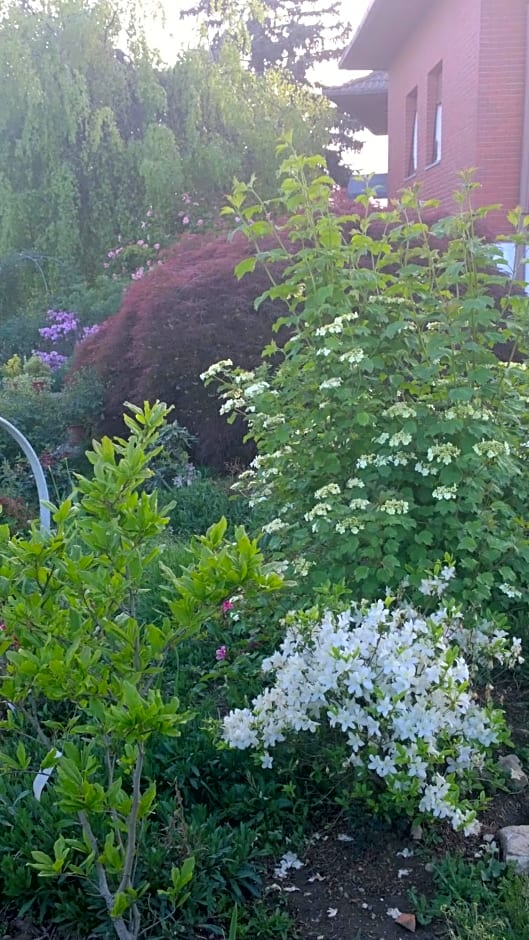 B&B Villa Giardini Susanna