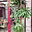 UNAHOTELS Eco Hotel Villa Costanza Venezia