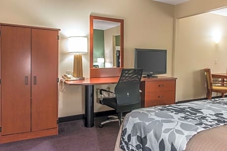 1 King Bed, Suite, Nonsmoking