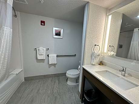 Mobility Communication Accesible - 1 King,Bathtub,Sofabed,Non-Smoking