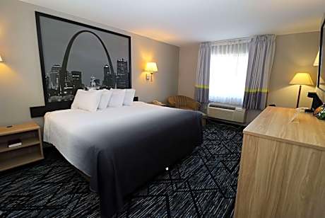 1 King Bed Non-Smoking