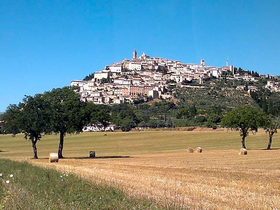 Il Borgo Dell'Ulivo