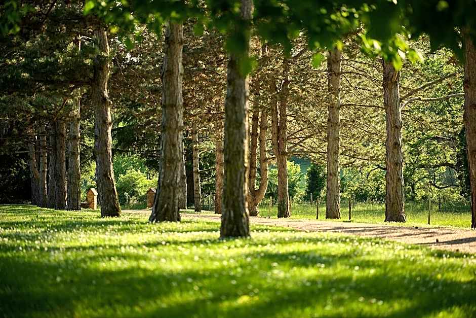 Hôtel La Métairie - Teritoria- Les Collectionneurs