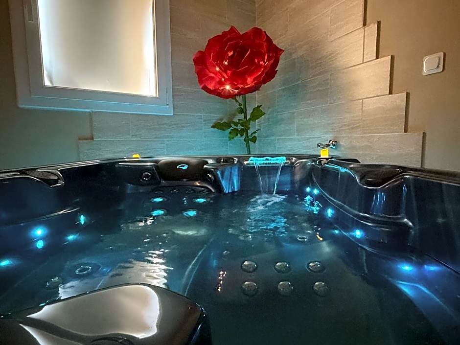 Le Cocon SPA Évasion Privée - jacuzzi -