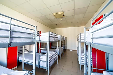 Bed in 14-Bed Mixed Dormitory Room with Shared Bathroom