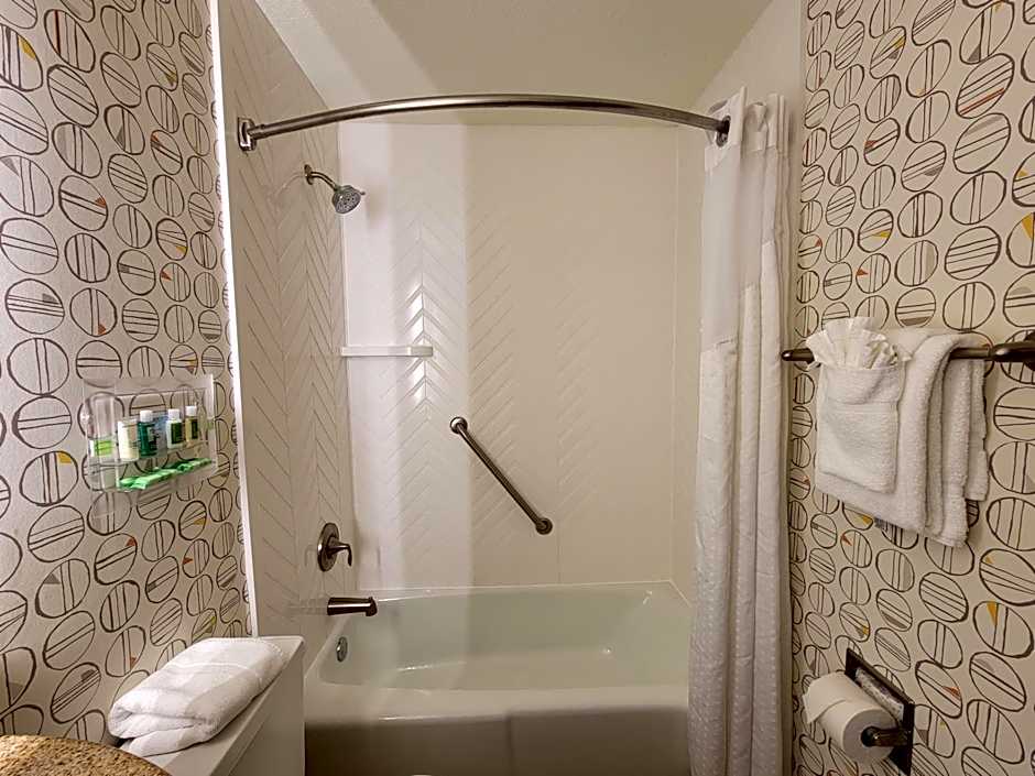 Holiday Inn Asheville East-Blue Ridge PKWY