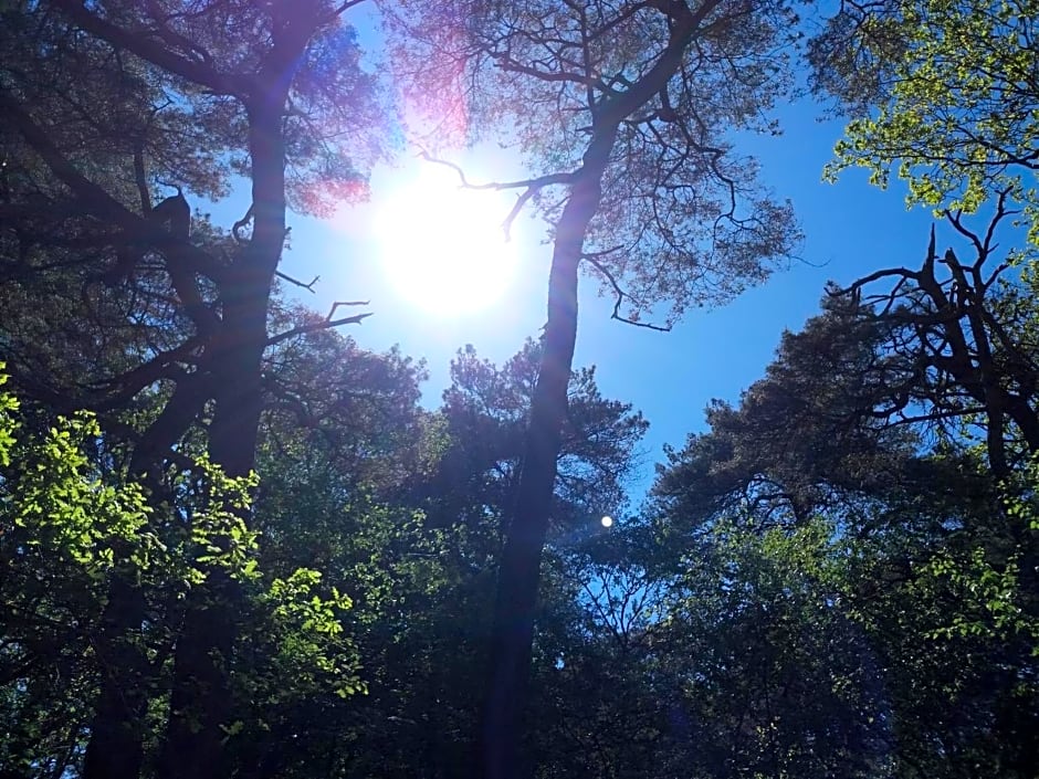 Loft aan Zee Bergen- Schoorl