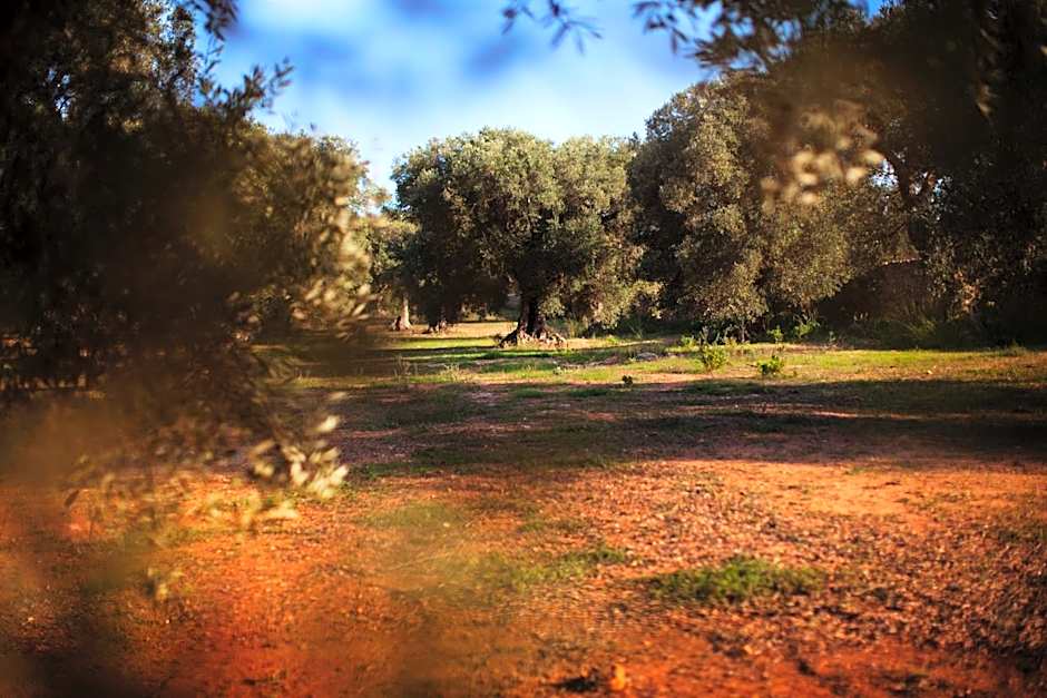 Masseria Borgo Mortella